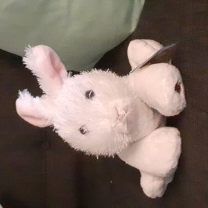 Webkinz Rabbit w/ tag